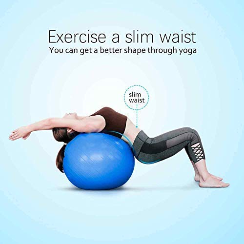 ProBalance 65cm Anti-Burst Fitness Yoga Ball