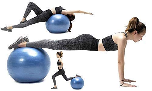 ProBalance 65cm Anti-Burst Fitness Yoga Ball