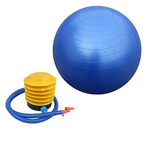 ProBalance 65cm Anti-Burst Fitness Yoga Ball