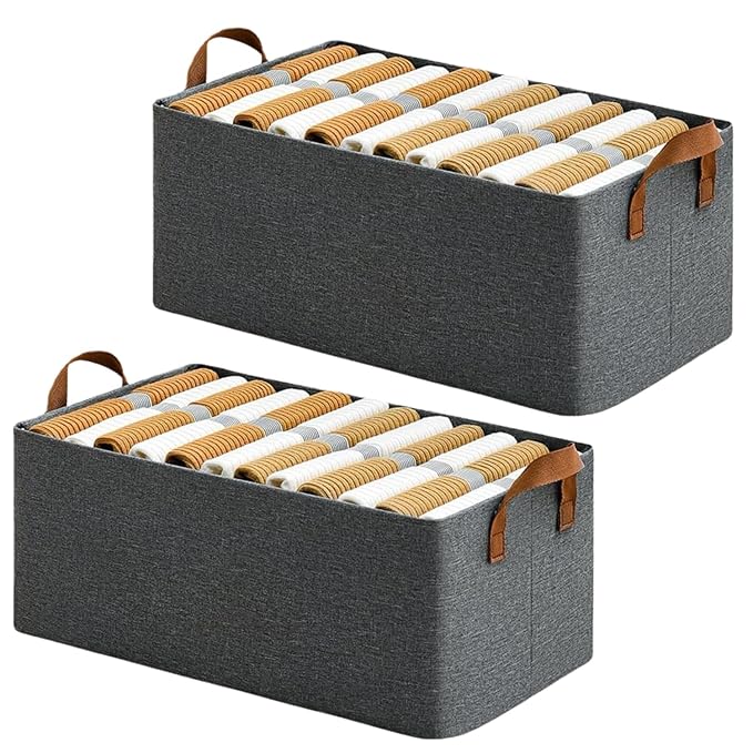 WardrobeMate Premium 2-Piece Clothes Organizer – Foldable with Metal Frame