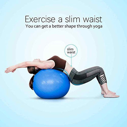 ProBalance 65cm Anti-Burst Fitness Yoga Ball