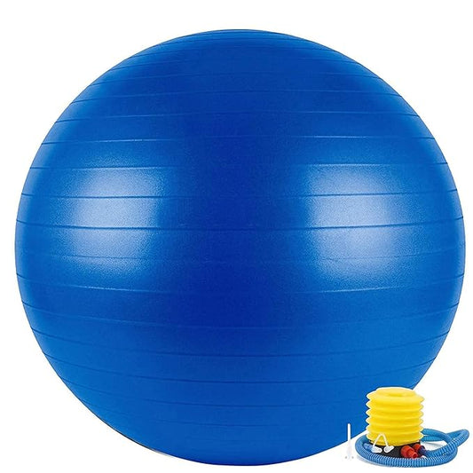 ProBalance 65cm Anti-Burst Fitness Yoga Ball