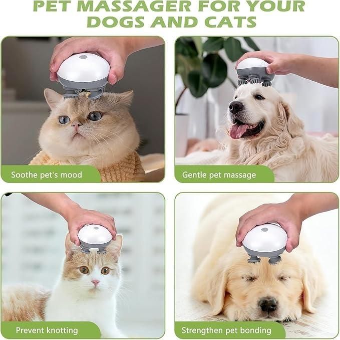 Premium Electric Massager