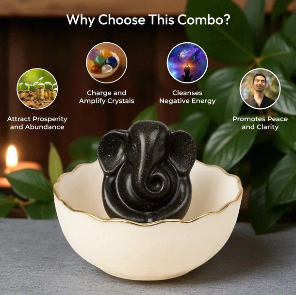 Premium Selenite Money Bowl with Lord Ganesha Pyrite Idol